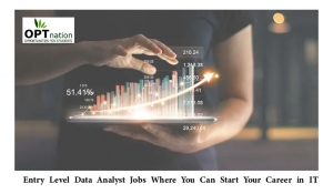 Entry Level Data Analyst Jobs Where You Can Start Your Career in IT